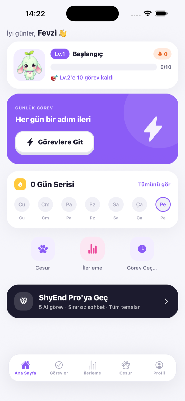 ShyEnd ana ekranı